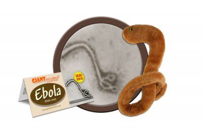 埃博拉病毒造型毛绒玩具在美热卖