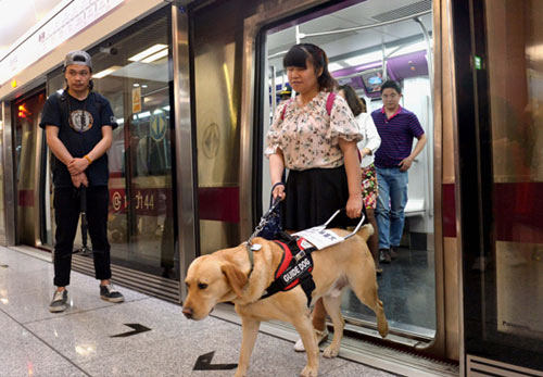 “导盲犬”可乘坐北京地铁