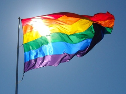 全美同性婚姻合法：与gay相关的表达