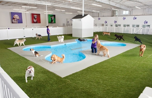 美机场造世界首个宠物航站楼