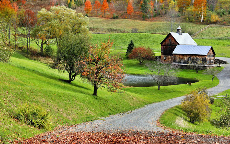 斑斓美图：世界上最美的秋色