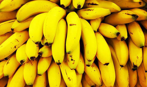 研究：致命病菌或使香蕉灭绝
