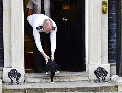 颜面扫地：英外交部“首席捕鼠官”偷溜首相府 无情被逐