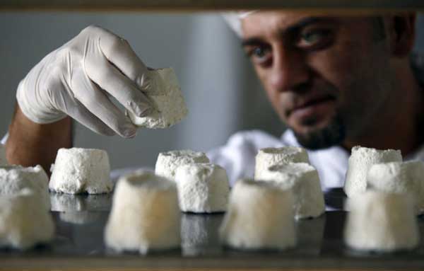 世界最健康的驴奶酪 每公斤售880英镑