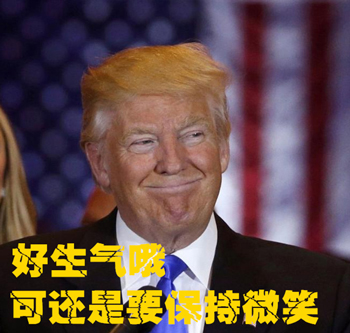 特朗普公鸡雕像席卷中国