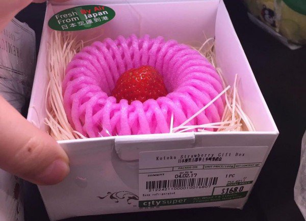 这种草莓150元一颗，一定很好吃……吧？