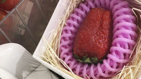 这种草莓150元一颗，一定很好吃……吧？