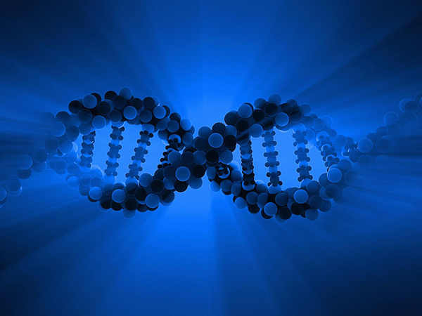 科学家或将改造人类基因以治疗遗传病
