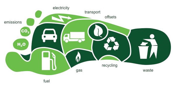 How to reduce our carbon footprint
