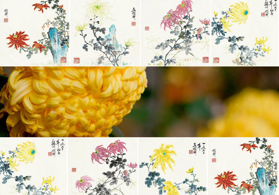 最能代表中国的10种花：你对它们了解多少（组图）