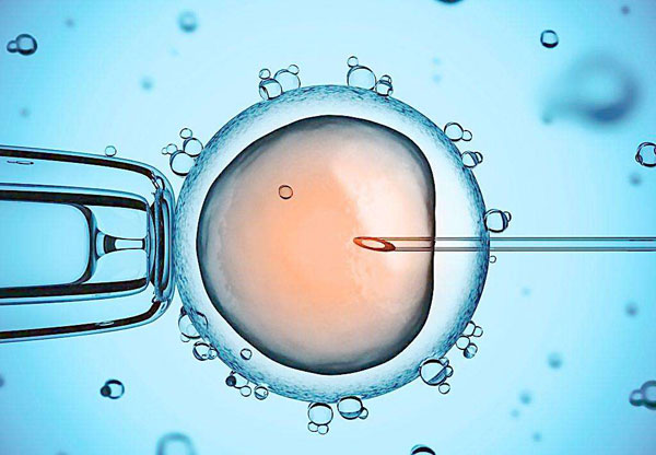 胚胎技术重大突破 未来也可人工制造？