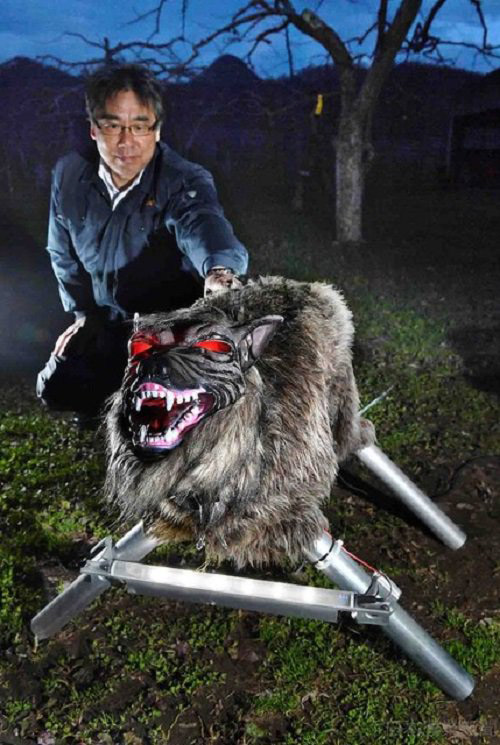 日本超级机器狼：高科技“麦田里的守望者”