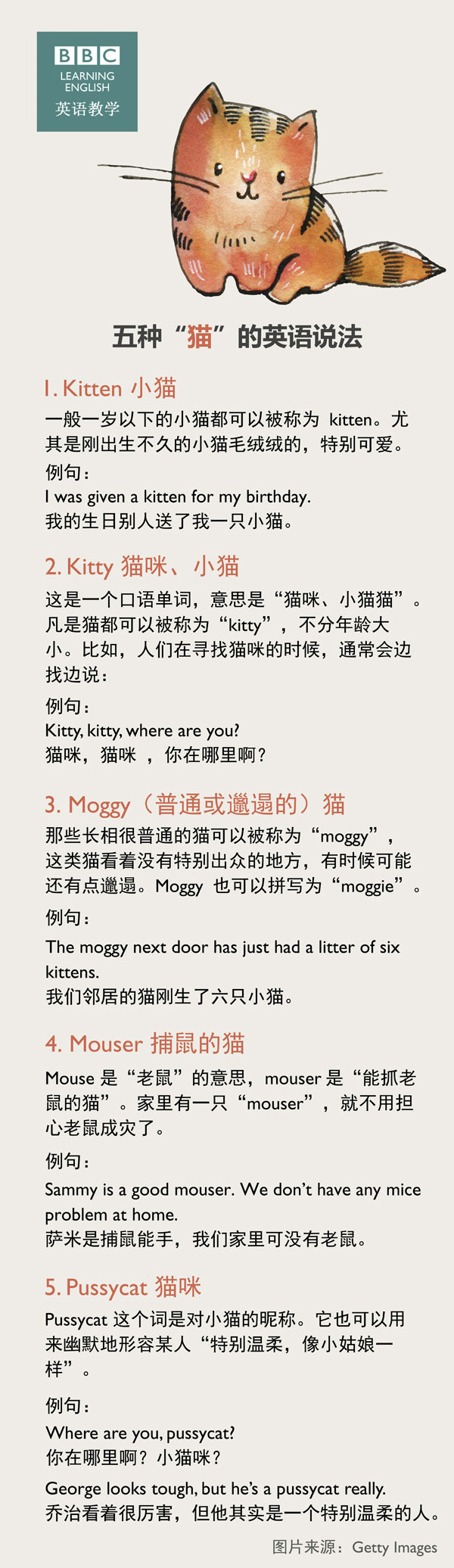 五种“猫”的英语说法
