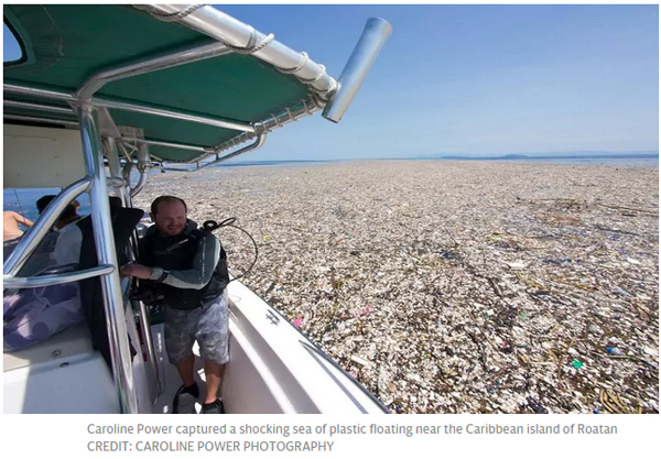 这照片让人震惊！加勒比海被塑料垃圾“活埋”