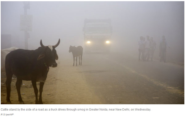德里受雾霾重击 连抗霾直升机也被打败