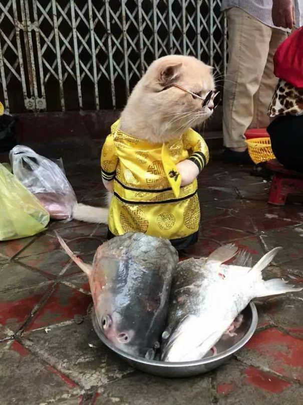来会会越南最萌的鱼贩子（组图）