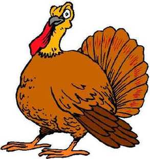 Turkey 感恩节为什么要吃火鸡？
