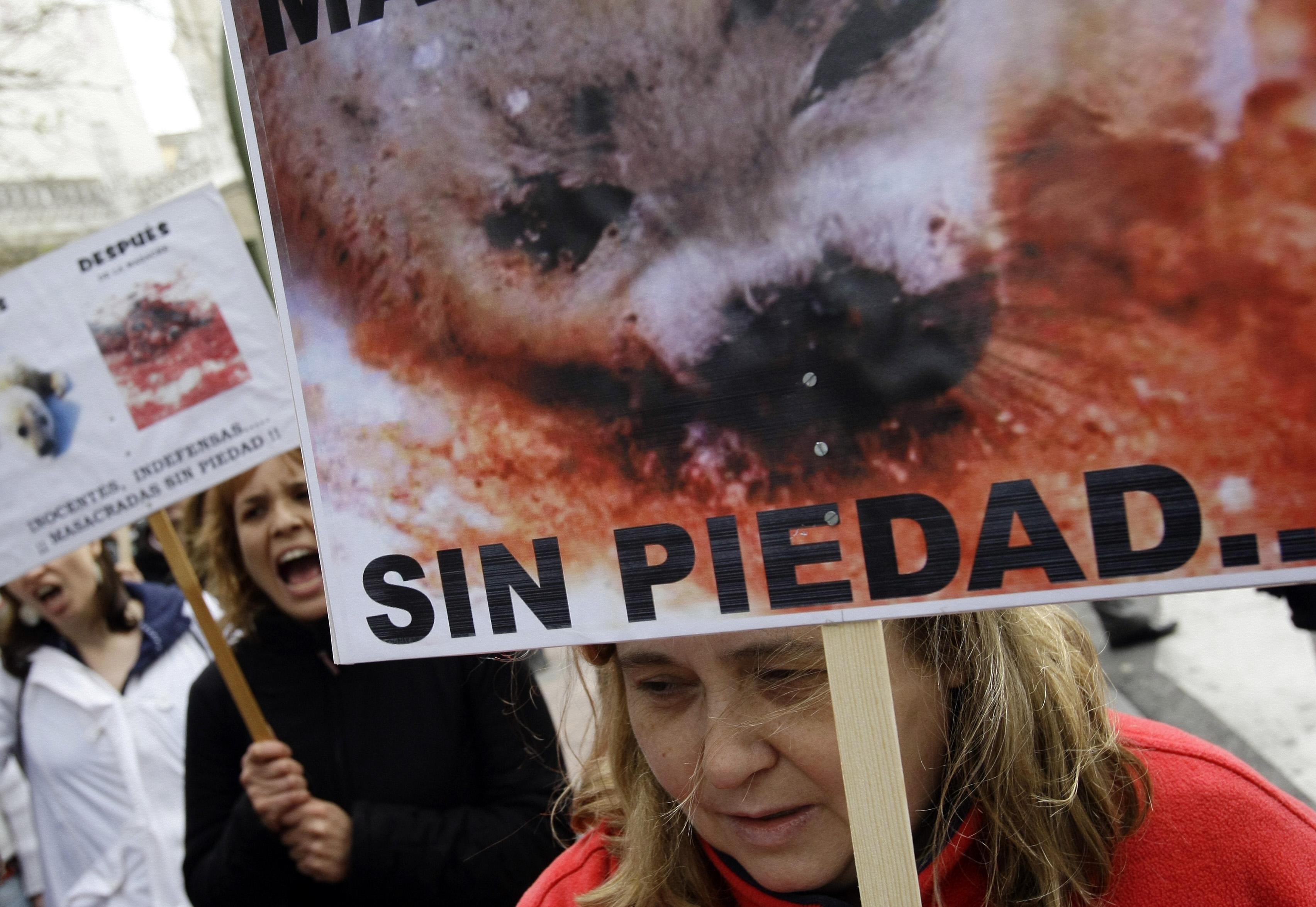 Protests against Canada's seal hunt