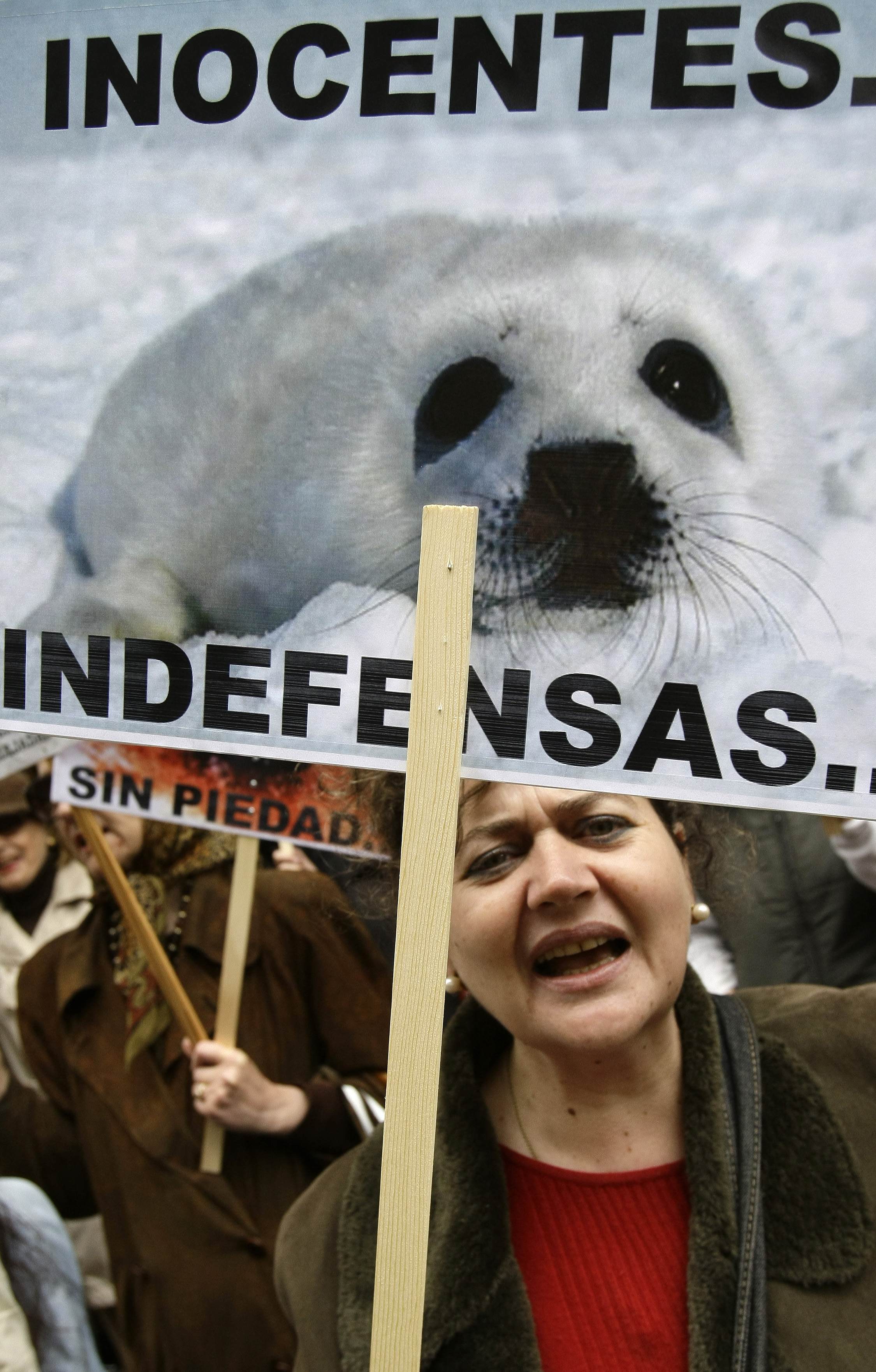 Protests against Canada's seal hunt
