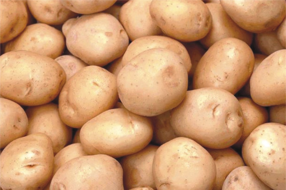 欧洲杯在即 瑞士进口土豆力保薯条供应