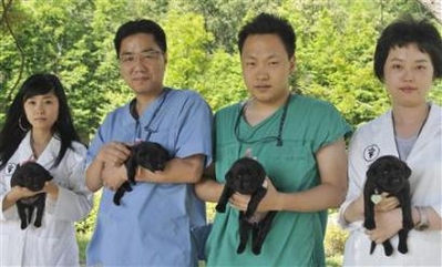 韩国成功克隆“嗅癌犬”