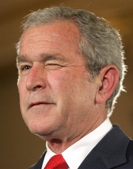 八国峰会：布什过生日 获赠不倒翁