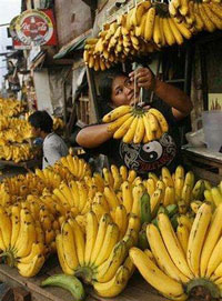 世贸组织会议聚焦“香蕉”