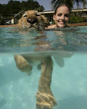 Girl plays with tigers underwater
