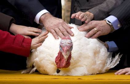 Bush pardons National Thanksgiving Turkey