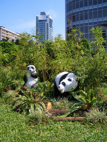 Taipei zoo well-prepared for panda pair