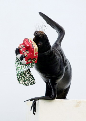 Sea lions add to New Year joy in Tokyo