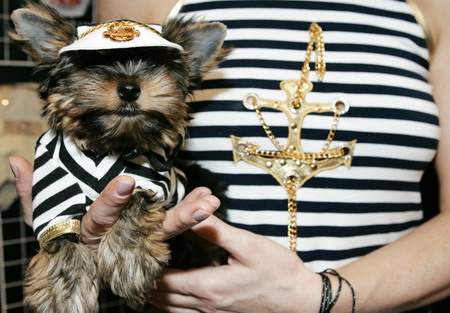 Pets Fashion Week in Moscow