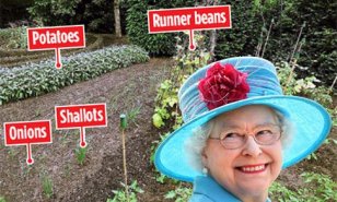 Queen growing vegie patch <BR>英女王皇宫忙种菜(图)