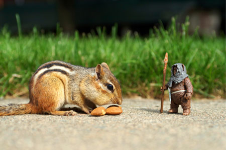 A new 'Star Wars' staged in garden