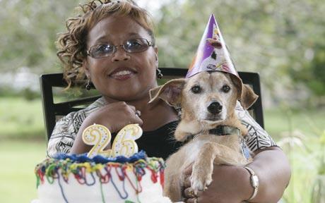 世界最长寿狗喜庆26岁生日