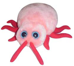 美玩具公司生产猪流感毛绒玩具
