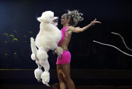 4th International Circus Festival in Moscow