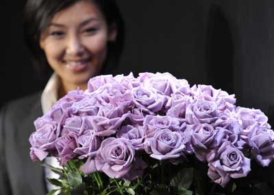 日本推出世界首批真正蓝玫瑰