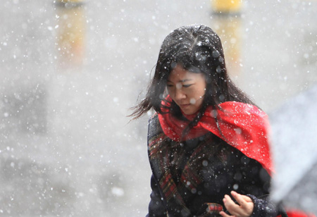 Beijing embraces first snowfall