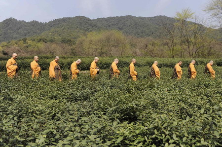 Monks collect tea in Hangzhou