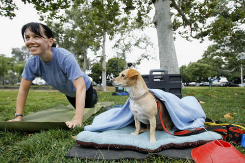 Owners work out with pets in fitness class