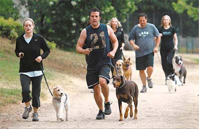 美国瘦身训练营 主人与狗齐减肥