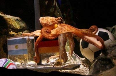 神奇章鱼预测德国将战胜阿根廷