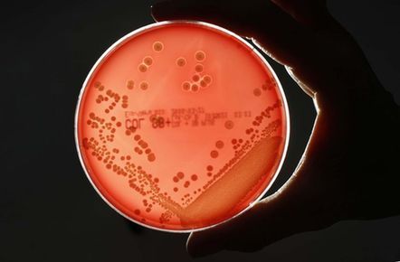 印度否认“超级病菌发源地”之说