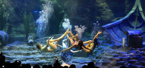 Russian swimmers perform underwater ballet in Wuhan