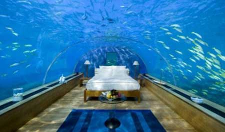 马尔代夫推出“海底洞房”可卧观海景