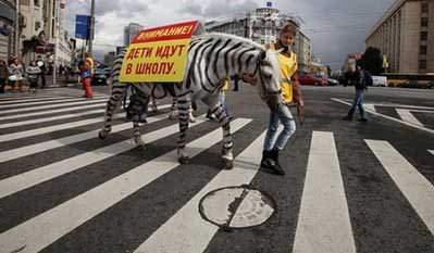 俄罗斯“斑马”穿越斑马线 宣传交通安全