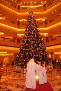 阿联酋推出史上最贵圣诞树