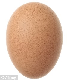 美国惊现2.1厘米鸡蛋 或为世界最小