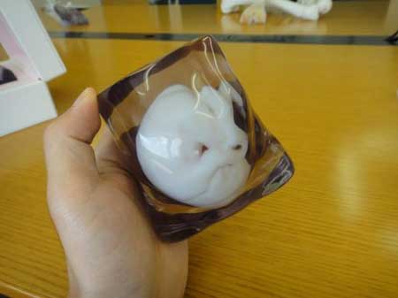 日本公司推出3D胎儿模型